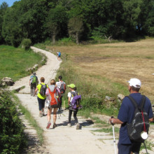 Last 100 km of the Camino Francés: From Sarria to Santiago