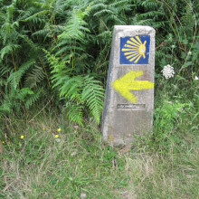 The Camino Francés by bike