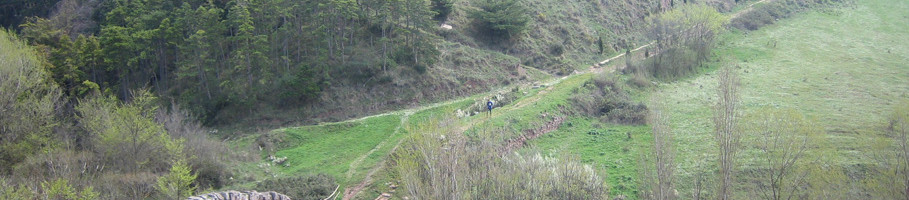 cirauqui puente romano