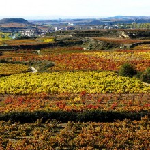 La Rioja, El Bierzo y Galicia visitando bodegas