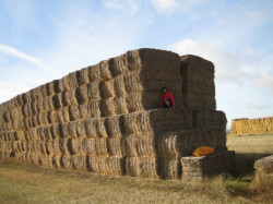 La meseta