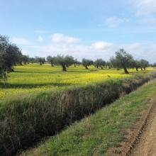 Ruta de la Plata: Stretch 1 from Sevilla to Cáceres