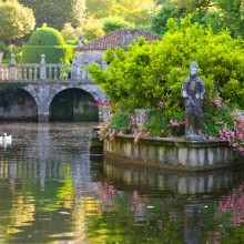 Tour Galicia : Pazos in the flowering season of the camellias.